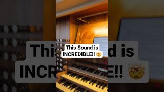 You NEVER heard an Organ sound like THIS 🤯 organ birds music musician church [upl. by Annohsal]