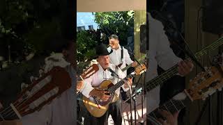 No Me Quieras Tanto  Los Panchos  Bay Area Mariachi Trio  Trio Mariachi Tepatitlan [upl. by Lekim]