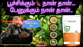 EVALVE  TEBUFENPYRAD  Insecticide  Acaricide  ஒரே மருந்து இரண்டு வேலை  JIVAGRO  JI39  MITES [upl. by Sausa]