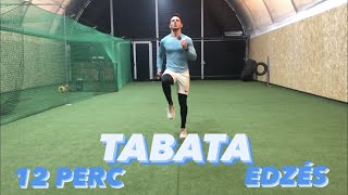 TABATA edzés  12 perc  DUROFIT [upl. by Mello]