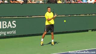 JoWilfried Tsonga Forehands in HD [upl. by Jelks804]