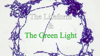 The Lifeform and Green Light Theory  The Backrooms [upl. by Atiuqehs]