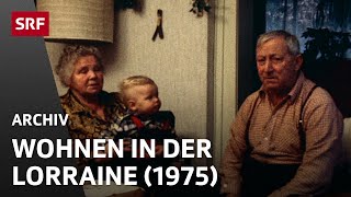 LorraineQuartier in Bern 1975  Ein Wohngebiet im Wandel  SRF Archiv [upl. by Teyugn]