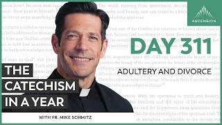 Day 311 Adultery and Divorce — The Catechism in a Year with Fr Mike Schmitz [upl. by Engelhart266]