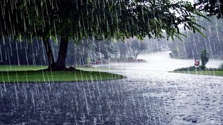 Best Rain Sounds For Sleep  99 Fall Asleep With Rain And Thunder Sounds At Night  For insomnia [upl. by Candida]