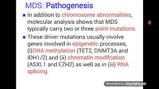 Myelodysplastic Syndrome  MDS [upl. by Ebanreb584]