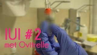 IUI 2 en 3  Ovitrelle spuiten [upl. by Akinam]