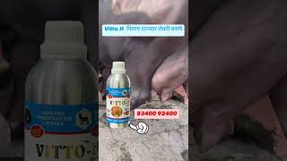 VITTOH Milk for Veterinary Liquid Supplement Mixture of multivitamins Pet Health Supplements [upl. by Teodoor570]