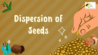 Watch A Large Variety Of Seeds Using Smart Dispersal Techniques [upl. by Eaves502]