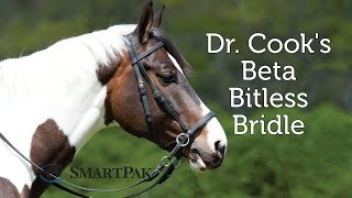 Dr Cooks Beta Bitless Bridle Review [upl. by Dauf]