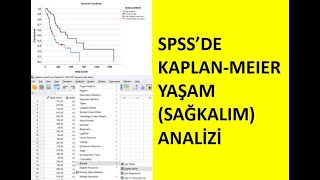 KAPLANMEIER YAŞAM SAĞKALIM ANALİZİ [upl. by Eachelle]