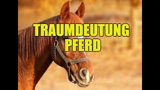 Was bedeutet Pferd im Traum Traumdeutung Pferd Träume vom Reiten [upl. by Curson]