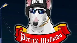 Perrito Malvado  Damas Gratis Ft LGante amp Marita  Cover Timbales [upl. by Ekaterina2]