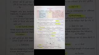 cepworksheet 11class 8thscience shorts youtubeshorts [upl. by Natsirhc]