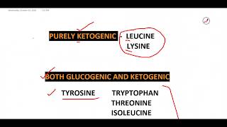 AMINO ACIDS GLUCOGENIC AND KETOGENIC ACIDIC AND BASIC [upl. by Enilrem]