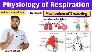 Mechanism of RespirationPhysiology of respiration in Hindi inspiration expirationNursing NEET [upl. by Ehrlich839]