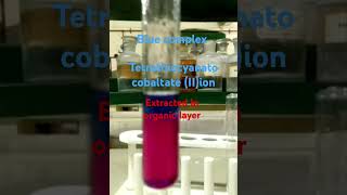 Ammonium thiocyanate test for Cobalt IIionclass 12 chemistryexperiment [upl. by Metsky250]