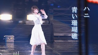 하니  푸른산호초 青い珊瑚礁  240626 BUNNIESCAMP  TOKYO DOME  松田聖子  Hanni  ハニ [upl. by Cindee]