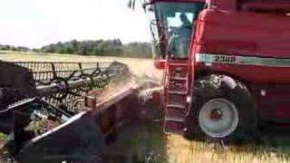 Cutting winter wheat 2007 [upl. by Jentoft]