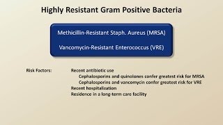 Antibiotics for Gram Positive Infections Antibiotics  Lecture 4 [upl. by Urial]