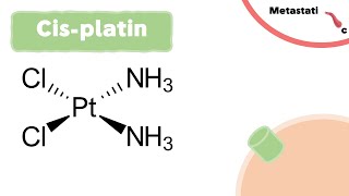 Mechanism of Cisplatin  Chemotherapy [upl. by Afatsuom]