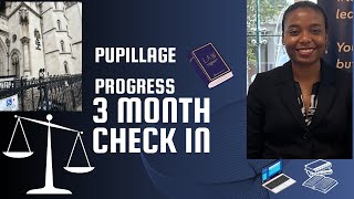 Pupillage Progress 3Month CheckIn [upl. by Chelsey]