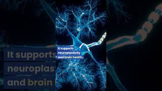 Nicotinamide Riboside NAD Booster [upl. by Sadira134]