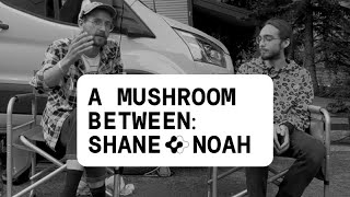 A Mushroom Between  Shane Schoolman amp Noah Cawthon [upl. by Keyte522]