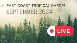 GorlestononSea Live Webcam Stream Tropical Garden garden live [upl. by Lisha]