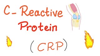 CReactive Protein CRP  Inflammation  Acute phase reactant [upl. by Matthias]