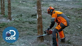 How to Battle with a Professional Lumberjack [upl. by Seagraves]