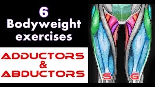 6 Bodyweight Exercises for Adductors amp Abductors [upl. by Prakash]