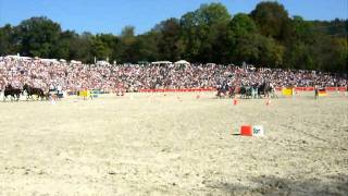 2 Hengstparade in Marbach Hansjörg Hammann LipizzanerVierspänner [upl. by Xerxes]