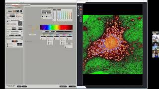 Confocal Microscopy Workshop 2D Acquisition and Spectral Separation  James Hayden BA RBP FBCA [upl. by Hailee265]