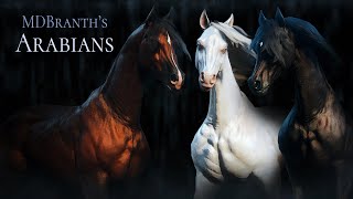 The Arabian horse Red Dead Redemption 2 [upl. by Yednarb]