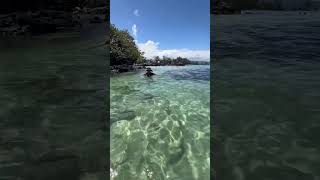 Carlsmith Beach Park Hilo Hi 🏝️ [upl. by Florio]