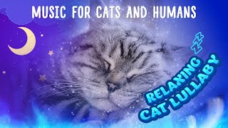 Cat lullaby MUSIC FOR CATS and humans  Relaxing music for cats [upl. by Natsyrk139]