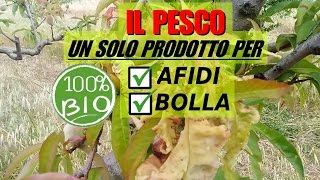 AFIDI E BOLLA DEL PESCO UNICO PRODOTTO PER DUE PROBLEMI [upl. by Delanty151]