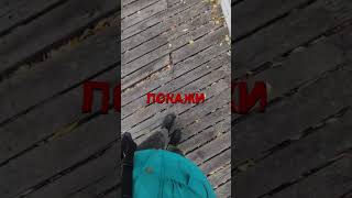 inst natalyatelnaya shortvideo [upl. by Nyllij529]