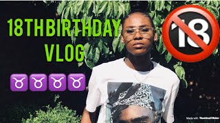 18TH BIRTHDAY VLOG 🔞 [upl. by Swiercz]