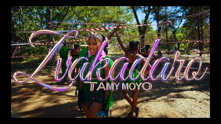 Tamy Moyo Zvakadaro Official Video [upl. by Gnauq]