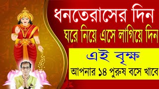 ধনতেরাসের দিন ঘরে নিয়ে এসে লাগিয়ে দিন এই গাছ । আপনার ১৪ পুরুষ বসে খাবে [upl. by Wickman]