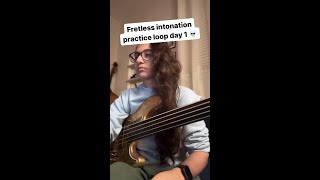 GET STARTED ON FRETLESS BASS 💥🔥 [upl. by Htnicayh673]