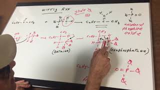 Wittig Reaction and Mechanism  Carbonyl Chemistry  ORGOMAN  DAT Destroyer  Dr Romano [upl. by Yentrok]