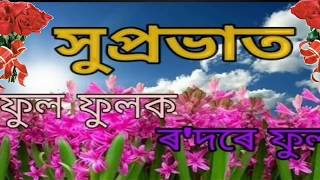 Assamese Language Good Morning Hd Video Morning Wish In Assamese  Good Morning In Assamese Languag [upl. by Atilem834]