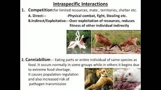 Intraspecific interaction [upl. by Rimisac]