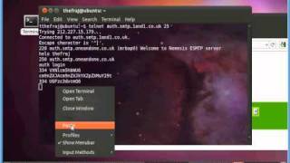 Send Email Through Telnet via Bash Command Line to SMTP Server [upl. by Aicia697]