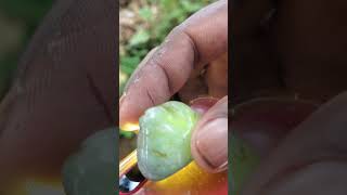 Amazing 12 B Healing stone Chrysoprase chrysoprase Chrysoprasering gemstone srilankagems [upl. by Bael302]