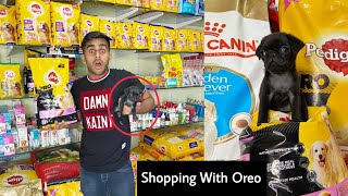 Shopping for my dog in Lockdown [upl. by Gavin]