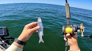 Fishing LIVE Mullet amp Jigs Along The Beach Fast amp Toothy Fish [upl. by Bergess400]